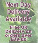 Next Day Delivery Available